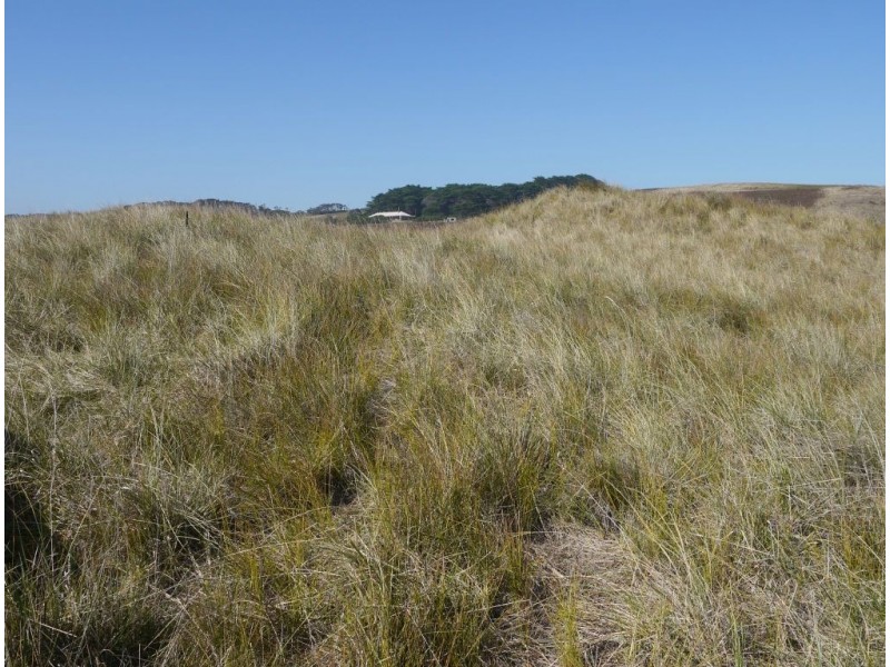 1820 South Road, Pearshape TAS 7256