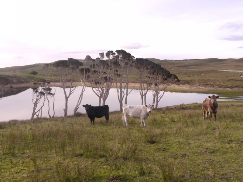 2100 South Road, Pearshape TAS 7256