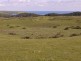 2100 South Road, Pearshape TAS 7256