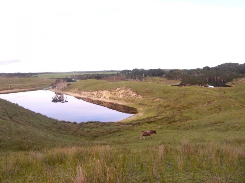 2100 South Road, Pearshape TAS 7256