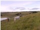 2100 South Road, Pearshape TAS 7256