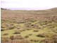 2100 South Road, Pearshape TAS 7256