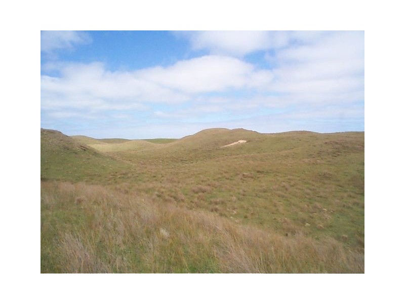 1200 South Road, Pearshape TAS 7256