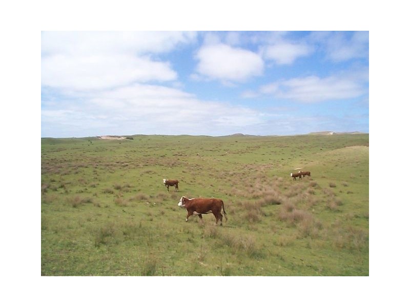 1200 South Road, Pearshape TAS 7256