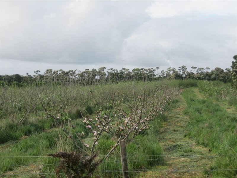 90 Bischoffs Road, Pegarah TAS 7256