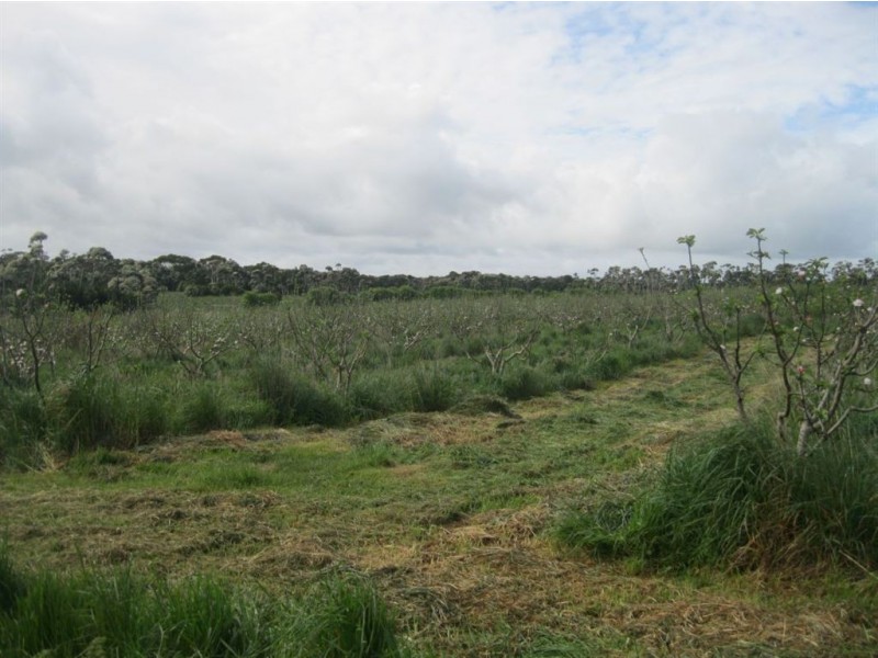 90 Bischoffs Road, Pegarah TAS 7256