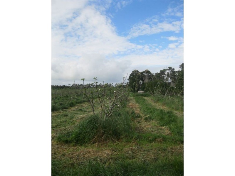 90 Bischoffs Road, Pegarah TAS 7256