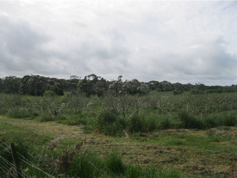 90 Bischoffs Road, Pegarah TAS 7256