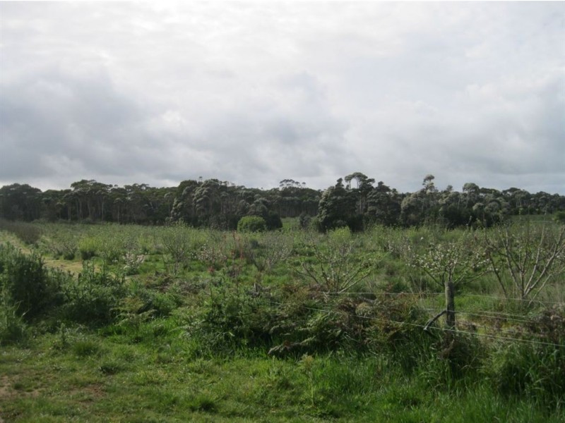 90 Bischoffs Road, Pegarah TAS 7256