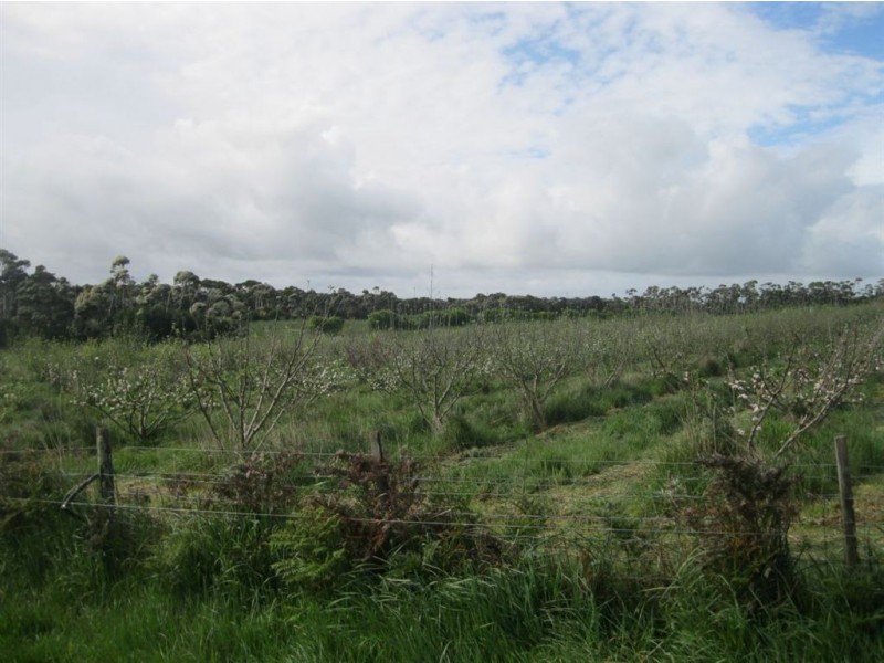 90 Bischoffs Road, Pegarah TAS 7256