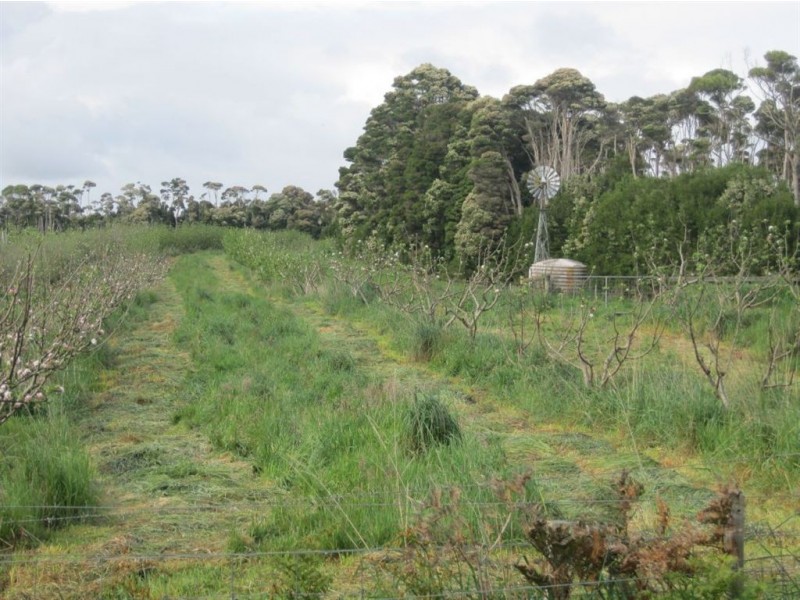 90 Bischoffs Road, Pegarah TAS 7256