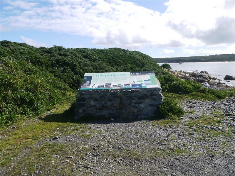 14 Myrtle Street, Grassy TAS 7256