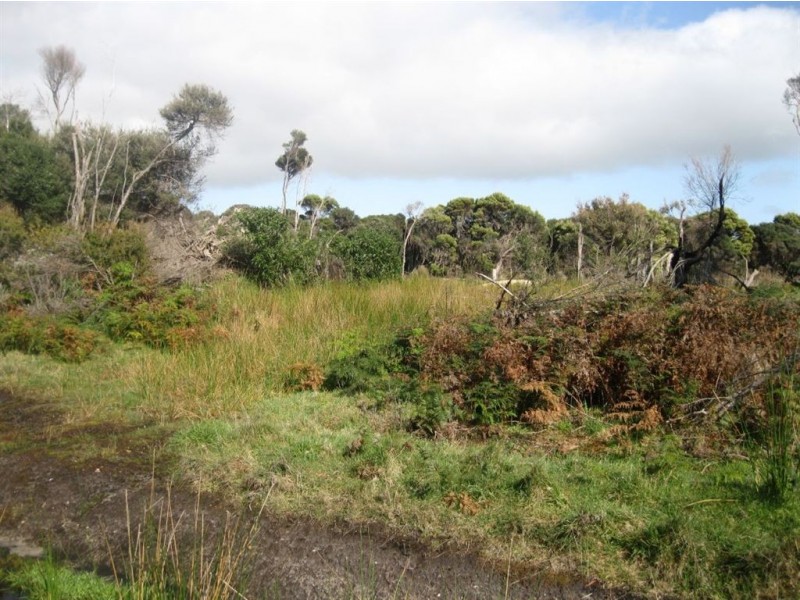 17 Skyline Drive, Naracoopa TAS 7256