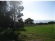 17 Skyline Drive, Naracoopa TAS 7256