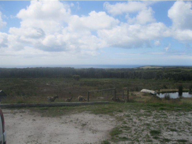 165 Red Hut Road, Lymwood TAS 7256