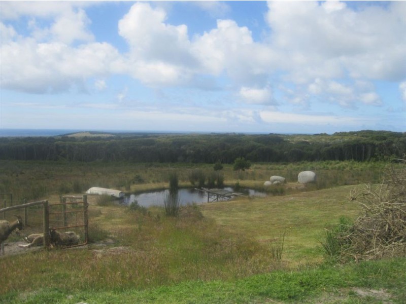 165 Red Hut Road, Lymwood TAS 7256