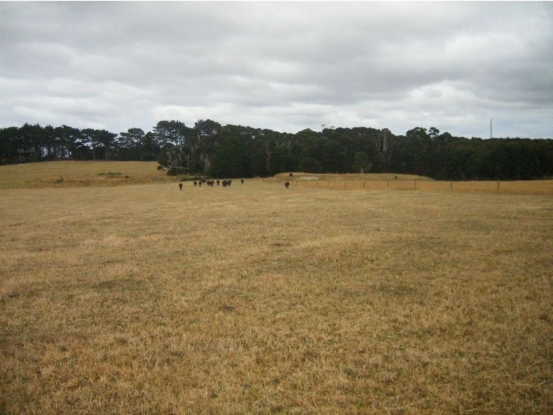 0 Grassy Road, Lymwood TAS 7256