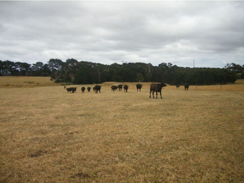 0 Grassy Road, Lymwood TAS 7256