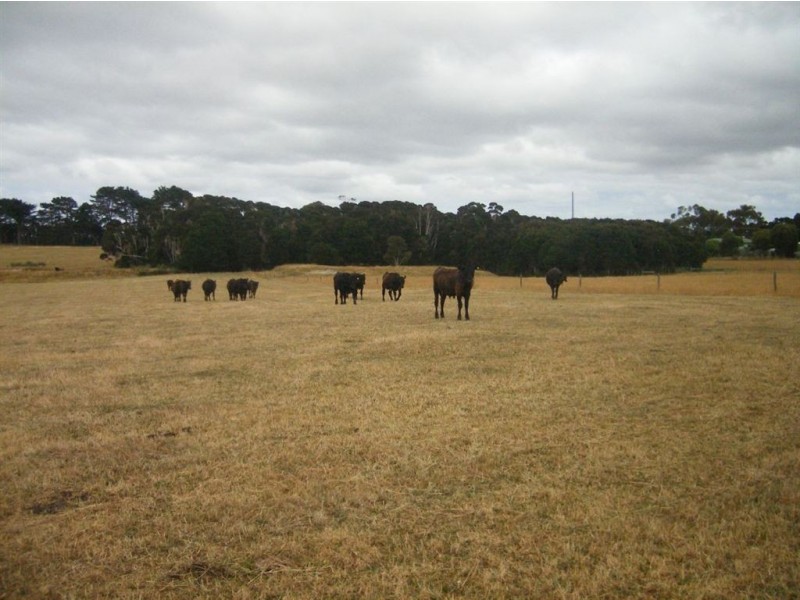 0 Grassy Road, Lymwood TAS 7256