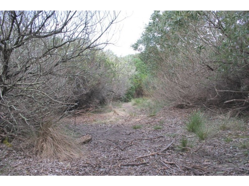 Lot 18 Red Hut Road, Lymwood TAS 7256