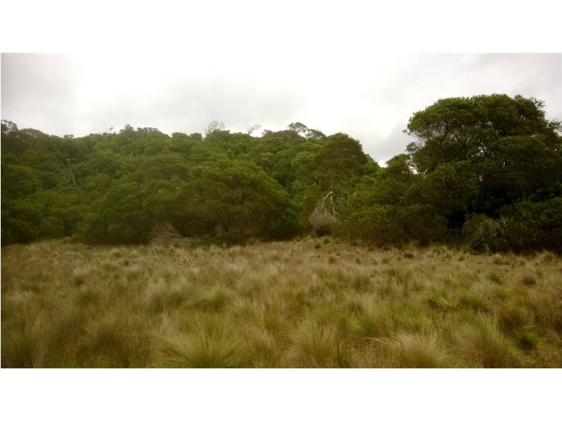 Lot 18 Red Hut Road, Lymwood TAS 7256