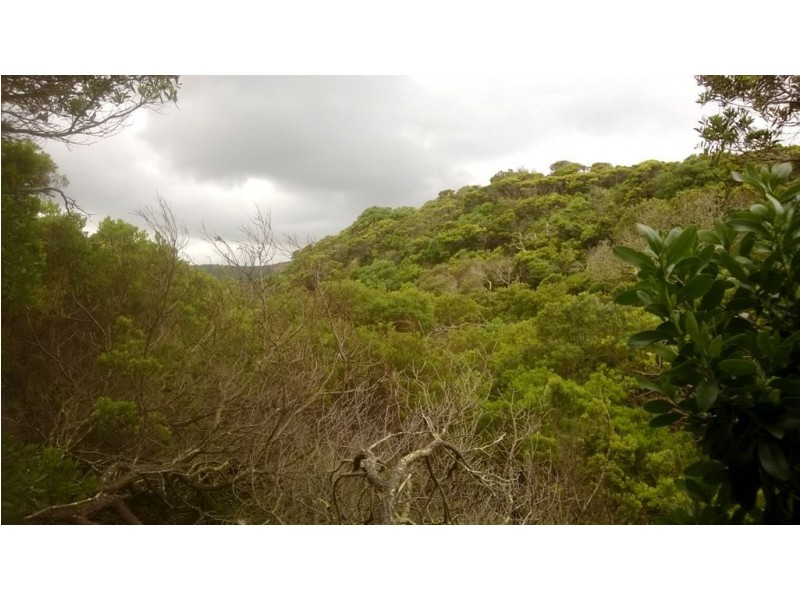 Lot 18 Red Hut Road, Lymwood TAS 7256