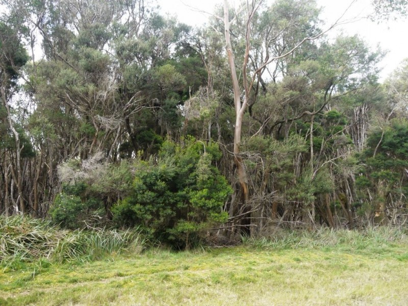 2000 Fraser Road, Naracoopa TAS 7256
