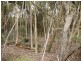 2000 Fraser Road, Naracoopa TAS 7256