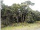 2000 Fraser Road, Naracoopa TAS 7256