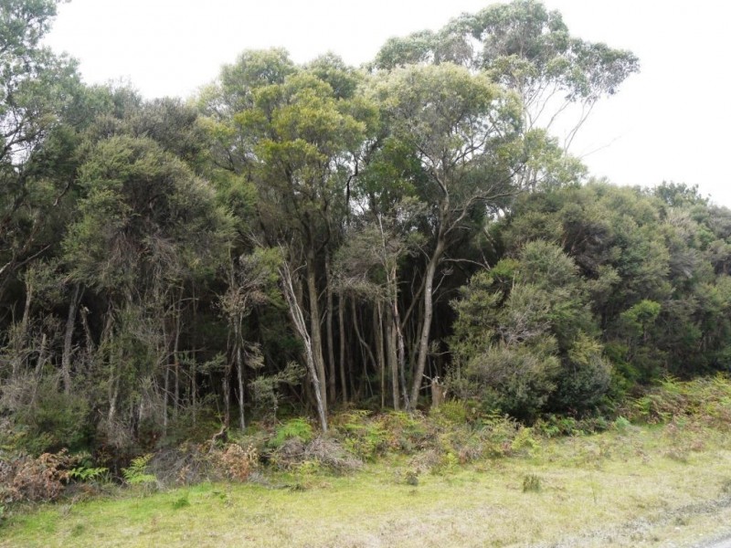 2000 Fraser Road, Naracoopa TAS 7256