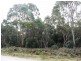 2000 Fraser Road, Naracoopa TAS 7256