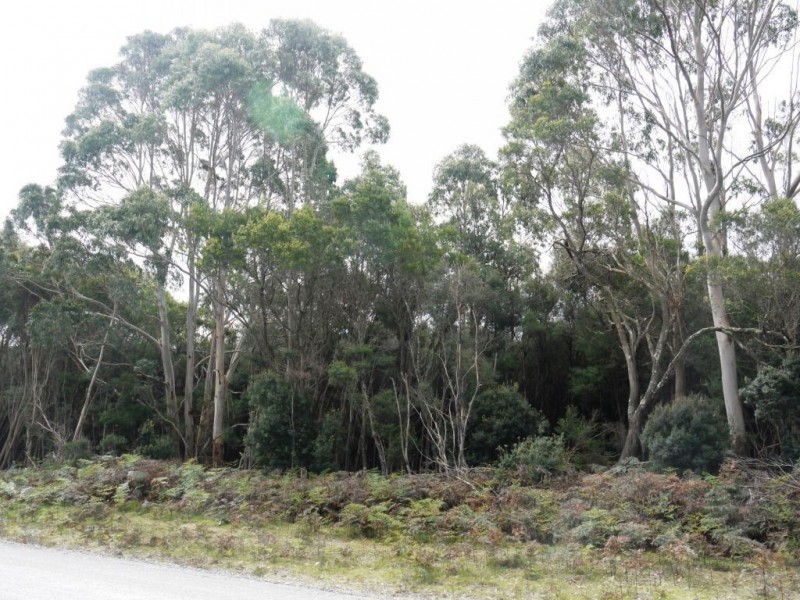 2000 Fraser Road, Naracoopa TAS 7256