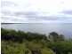 2000 Fraser Road, Naracoopa TAS 7256
