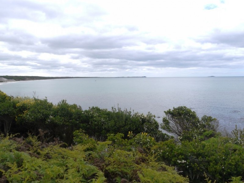 2000 Fraser Road, Naracoopa TAS 7256
