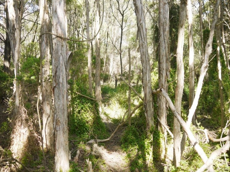 321 North Road, Currie TAS 7256