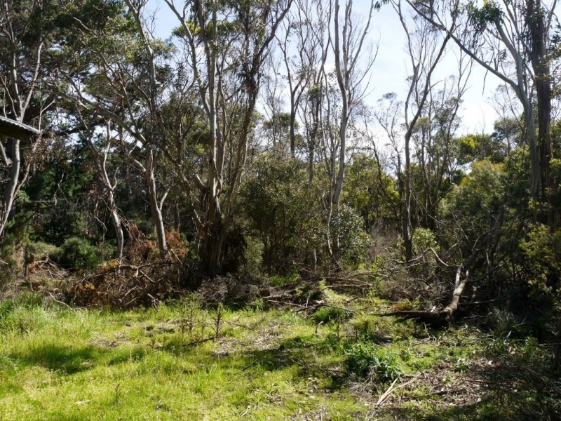 321 North Road, Currie TAS 7256