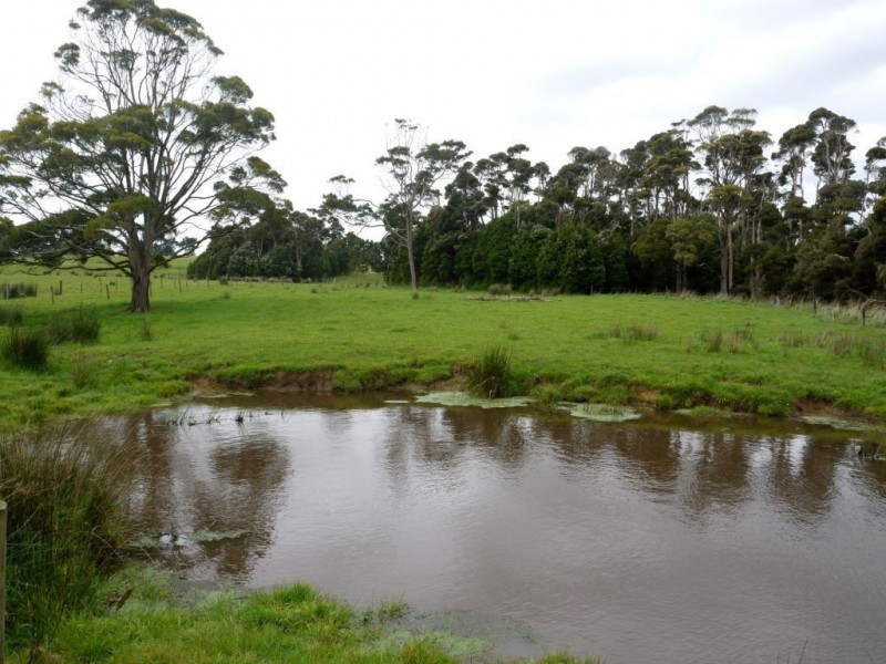 800 Mount Stanley Road, Lymwood TAS 7256
