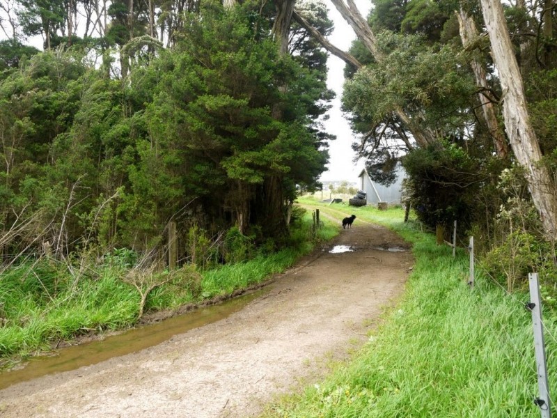 800 Mount Stanley Road, Lymwood TAS 7256