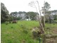 800 Mount Stanley Road, Lymwood TAS 7256