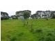 800 Mount Stanley Road, Lymwood TAS 7256
