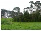 800 Mount Stanley Road, Lymwood TAS 7256