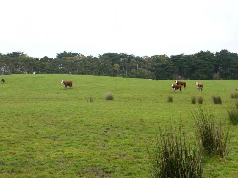 800 Mount Stanley Road, Lymwood TAS 7256