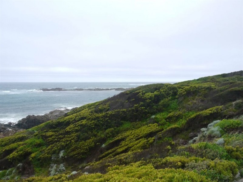 155 Netherby Road, Currie TAS 7256