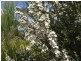 476 Old Grassy Road, Lymwood TAS 7256