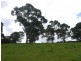 476 Old Grassy Road, Lymwood TAS 7256