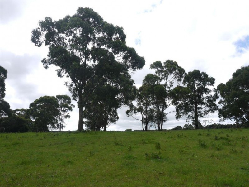 476 Old Grassy Road, Lymwood TAS 7256