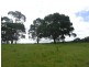 476 Old Grassy Road, Lymwood TAS 7256