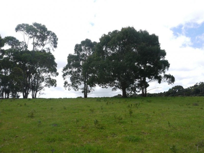 476 Old Grassy Road, Lymwood TAS 7256