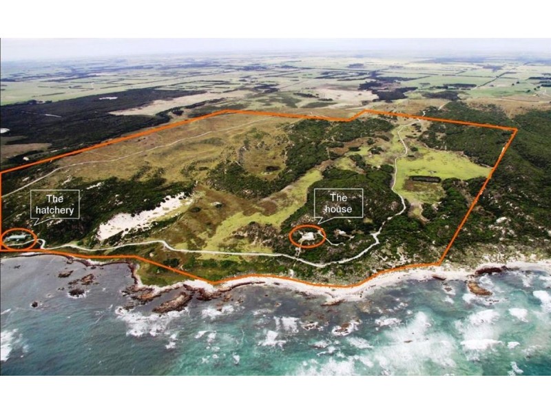 390 Bungaree Road, King Island TAS 7256