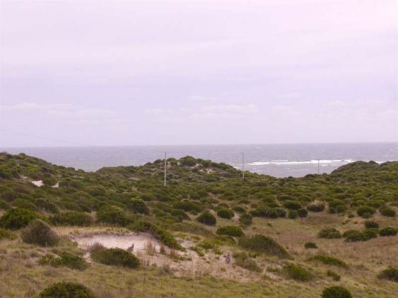 390 Bungaree Road, King Island TAS 7256